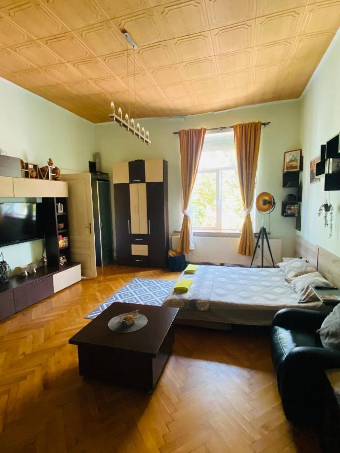 Central 2 Bedrooms Apartment Braşov Eksteriør billede